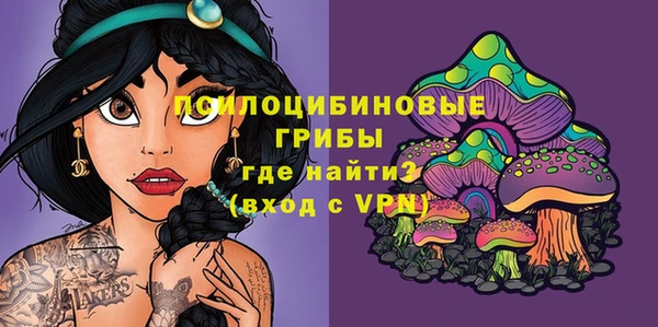 дмт Алзамай