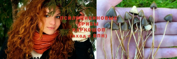 ПСИЛОЦИБИНОВЫЕ ГРИБЫ Алексеевка