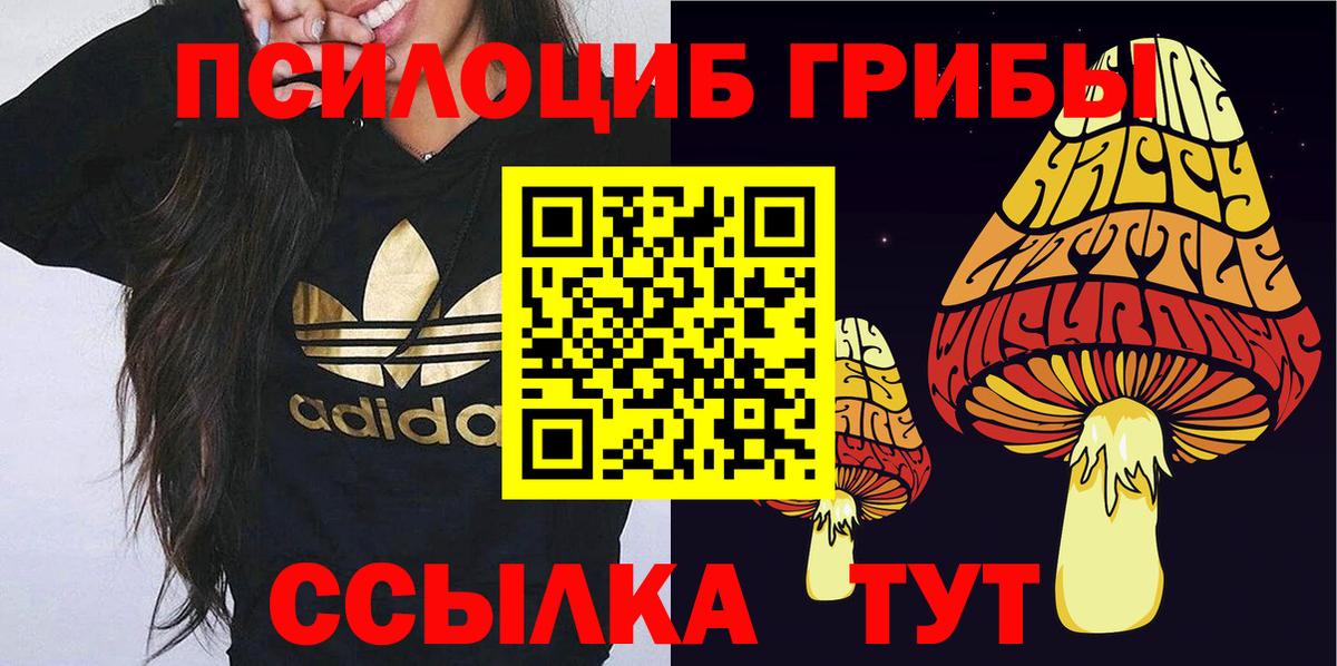 Пермь  Галлюциногенные грибы Psilocybe  где купить наркоту  Вход с VPN  Псилоцибиновые грибы Cubensis 